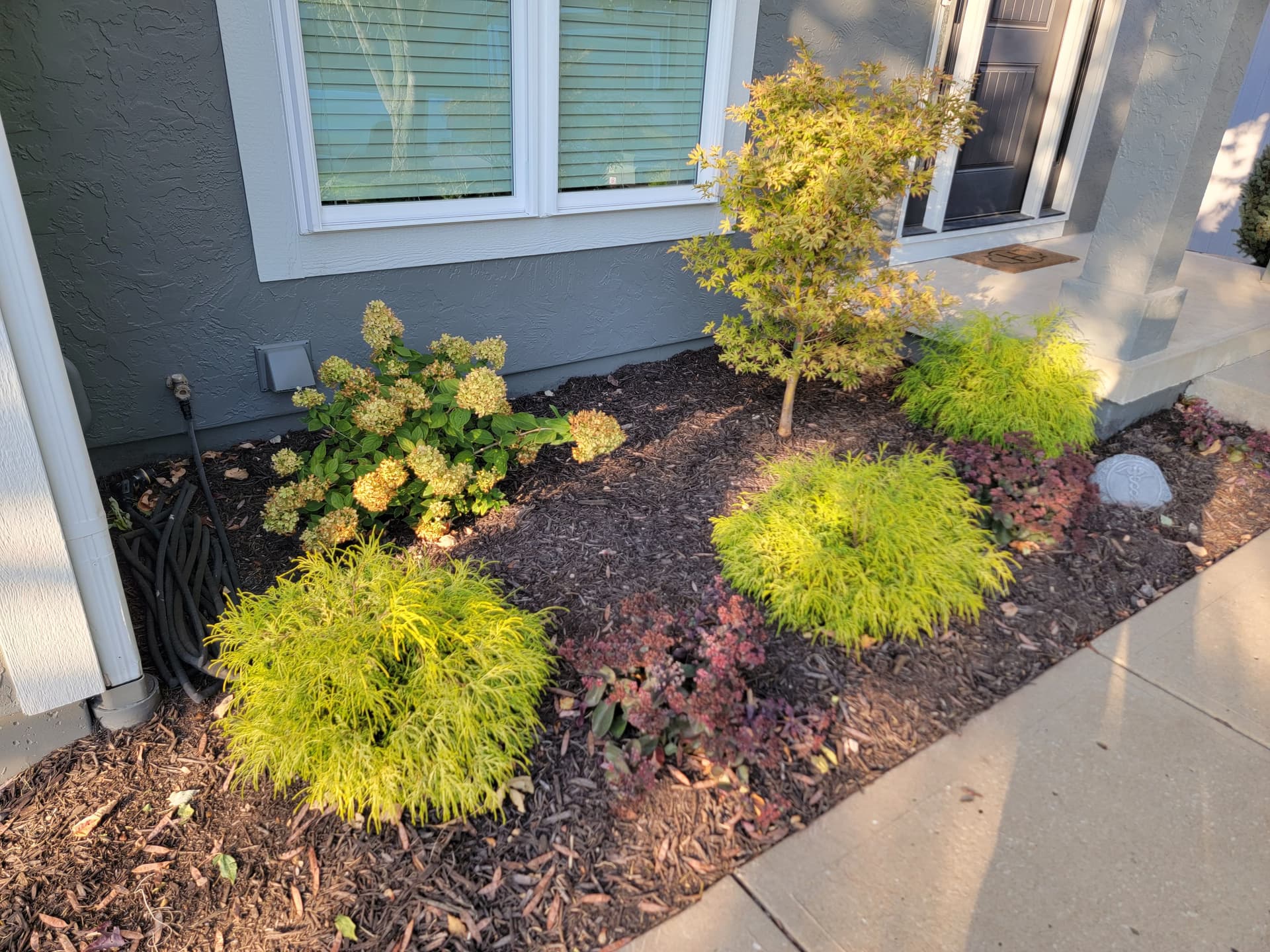 Gallery photos for Vibrant Front Yard Makeover in Lees Summit: Image #1