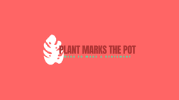 Plant Marks The Pot