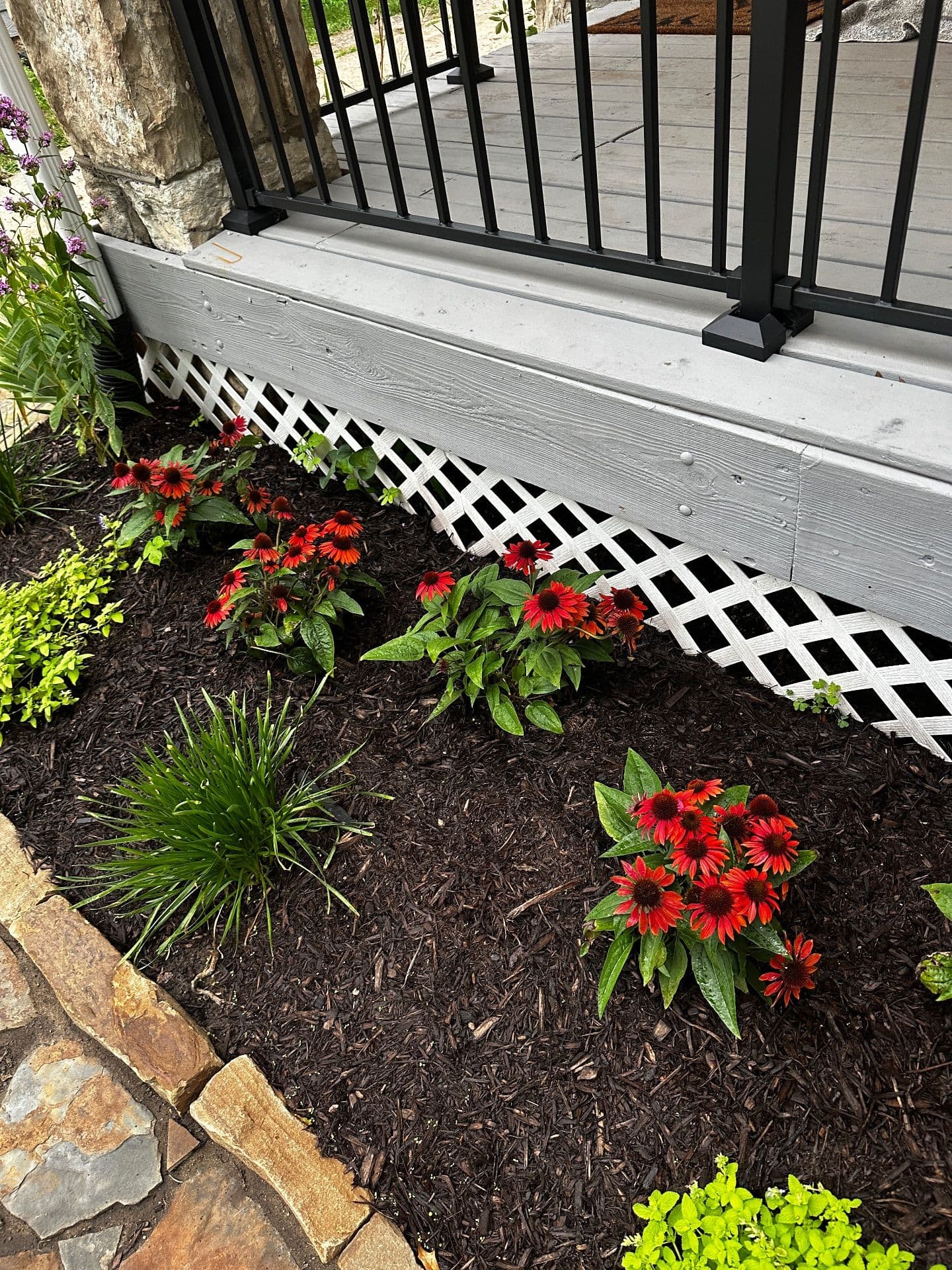 Gallery photos for Transformative Native Perennials in Kansas City: Image #1