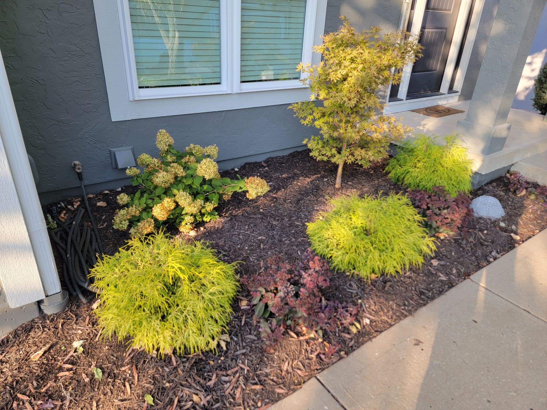 Beautiful Front Yard Transformation with Plant Marks The Pot image