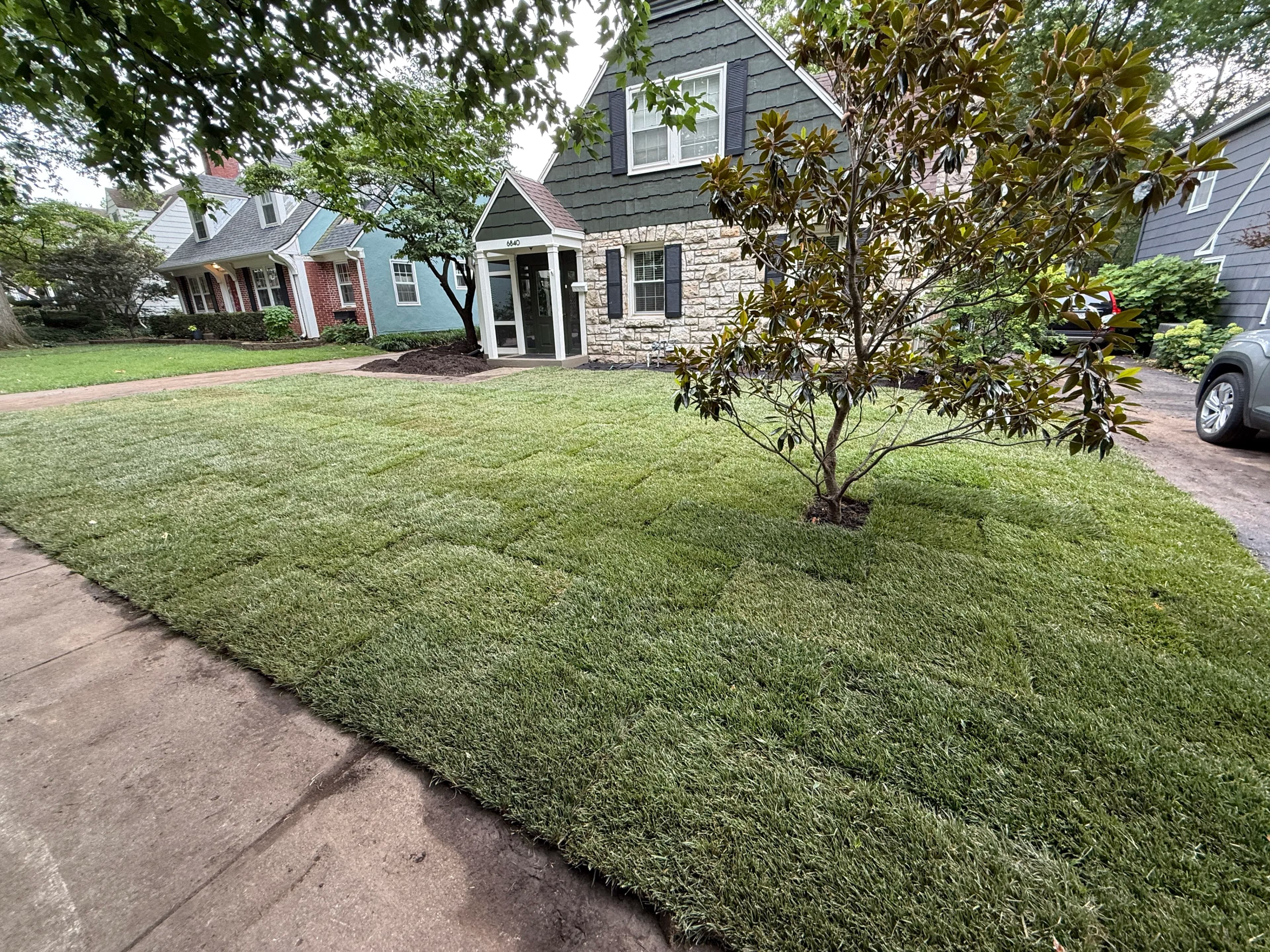 Project Full Front and Backyard Sod Remodel in Brookside image