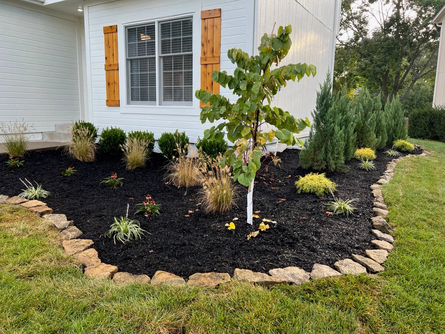Gallery photos for Shade, Privacy, and Curb Appeal Done Right in Olathe: Image #3