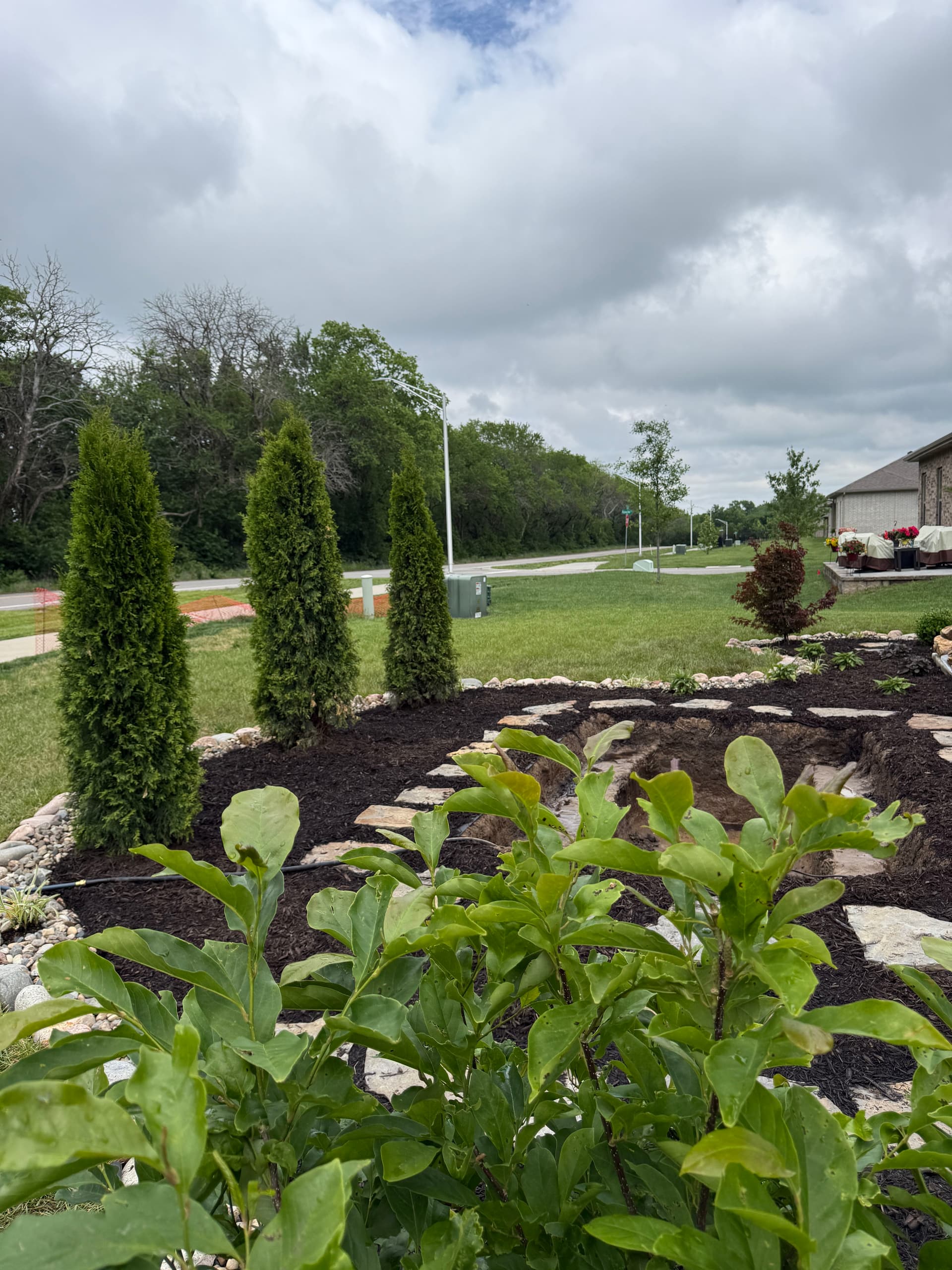 Gallery photos for Fresh Tree and Shrub Planting Sets the Stage for a Stunning Pond Feature: Image #1
