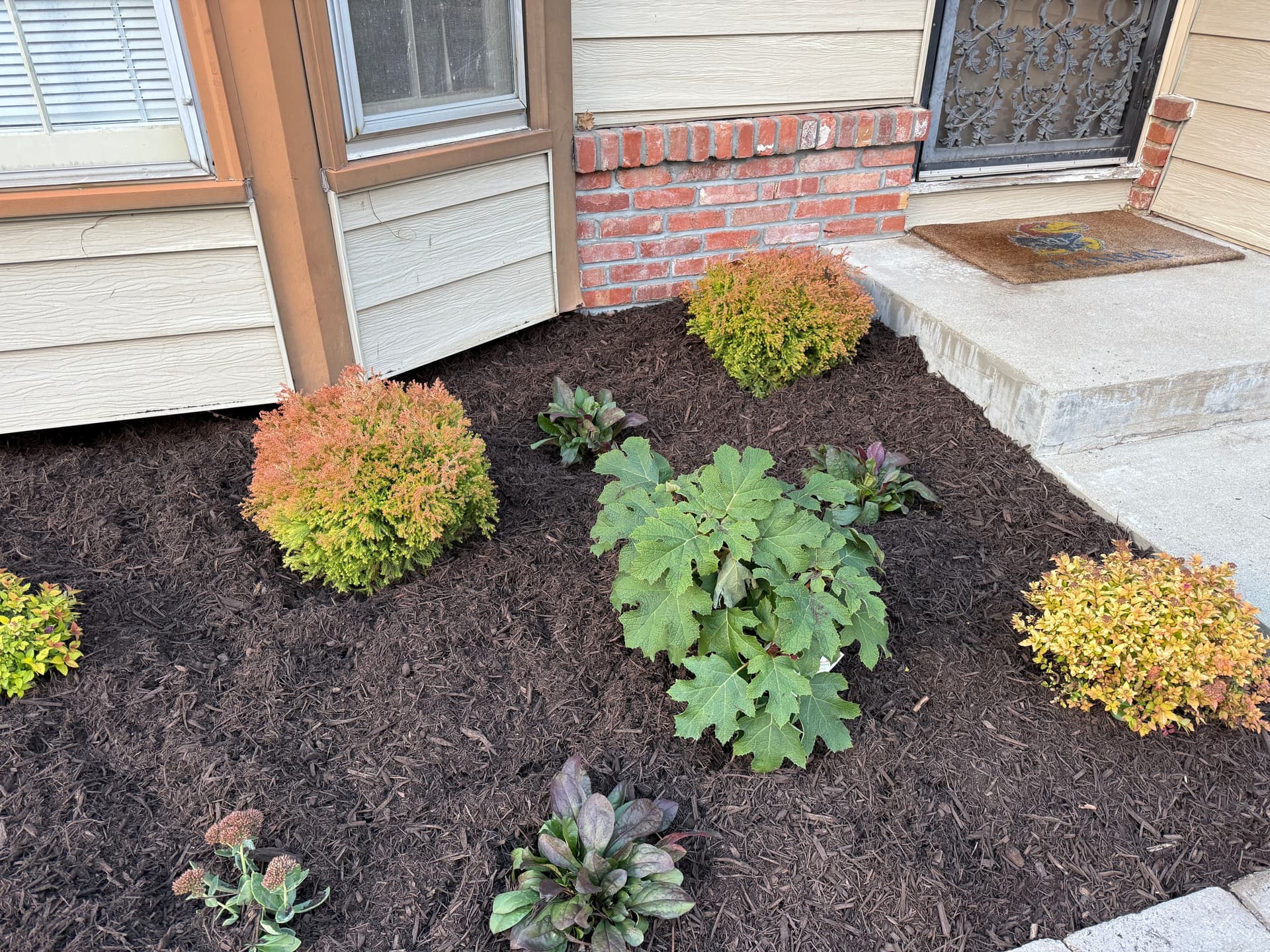 Gallery photos for Curb Appeal Boost with Fresh Plants and Mulch in Overland Park: Image #2