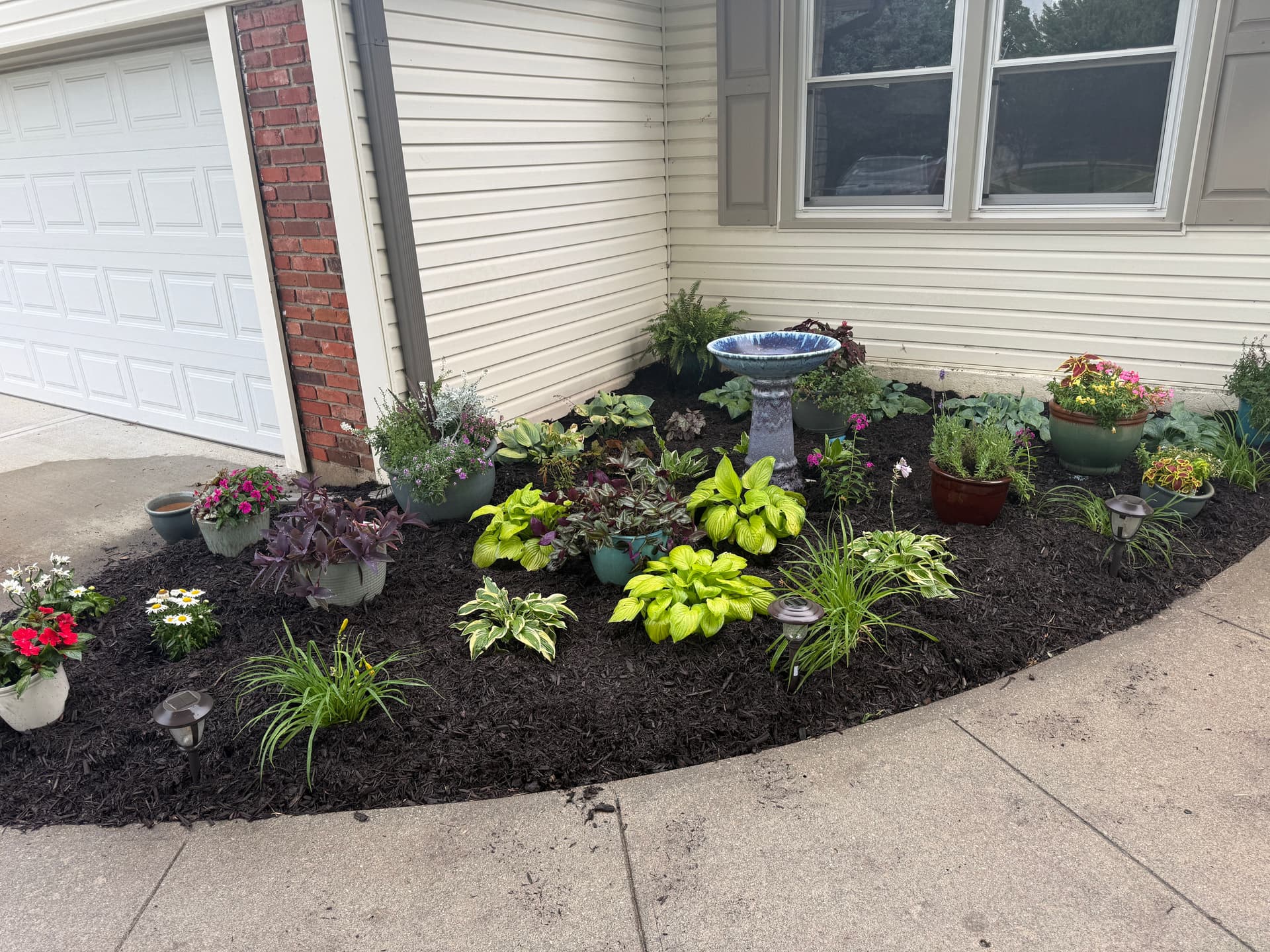 Gallery photos for Shawnee Front Yard Garden Bed Makeover with Fresh Mulch and New Plants: Image #3