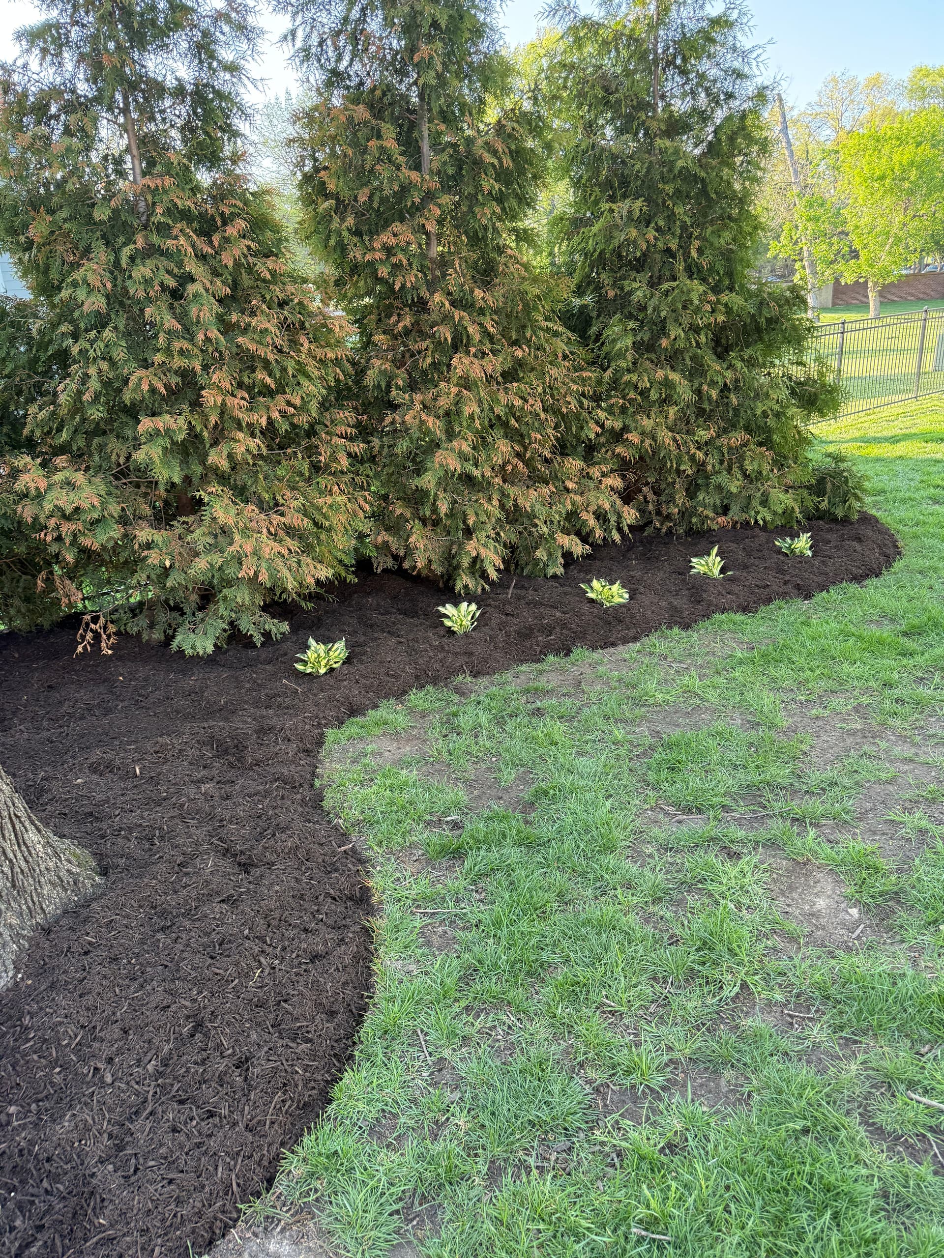 Gallery photos for Cobblestone Borders Fresh Mulch and New Plantings in Prairie Village: Image #3