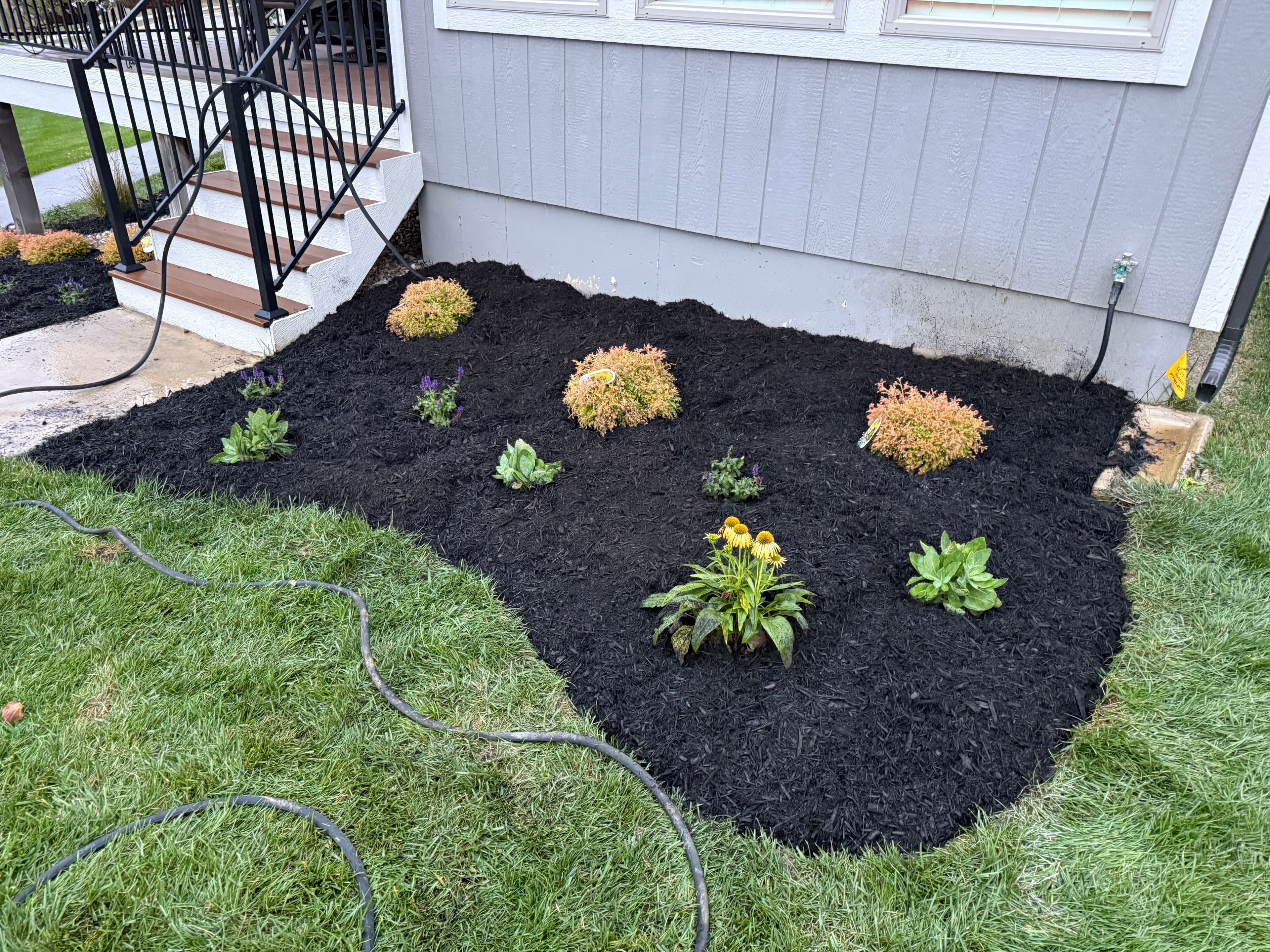 Project Lush Garden Beauty in Olathe image