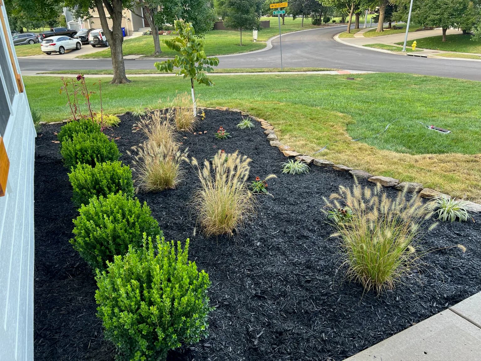 Shade, Privacy, and Curb Appeal Done Right in Olathe image