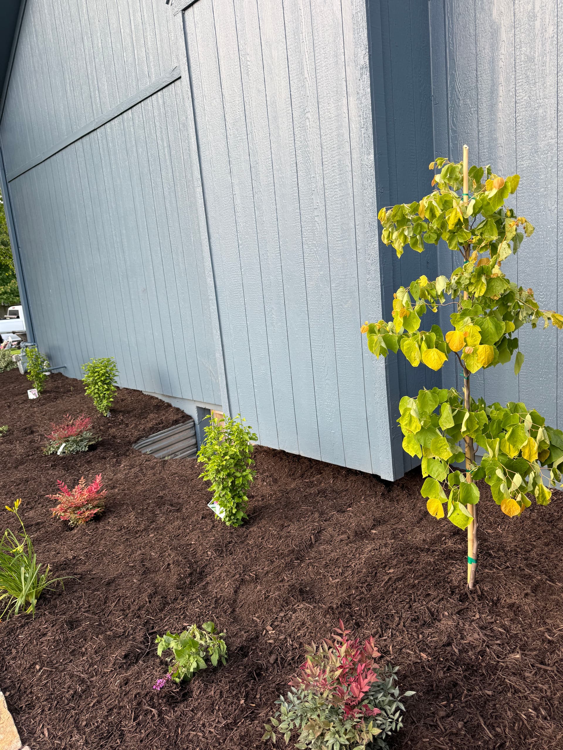 Gallery photos for Stone Edging and Perennial Bed Install in Gardner KS: Image #2