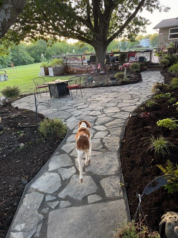 Gallery photos for Stone Pathway Transformation in Olathe Kansas: Image #1