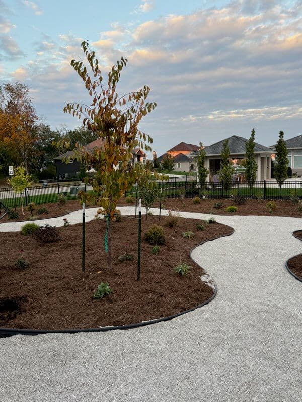 Backyard Makeover with Winding Gravel Pathway image
