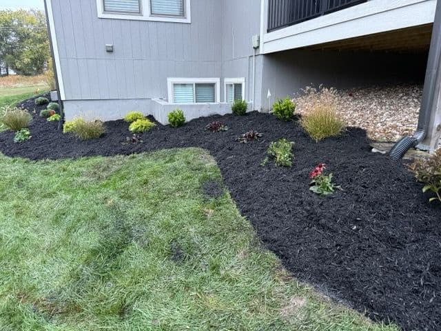 Project Garden Bed Overhaul in Olathe Kansas image