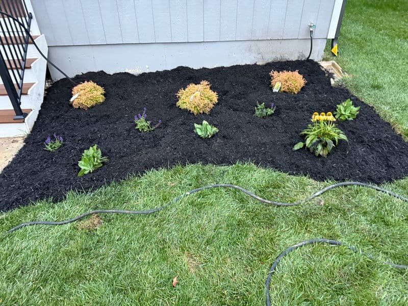 Project Garden Bed Transformation in Olathe - Vibrant Colors and Black Mulch image
