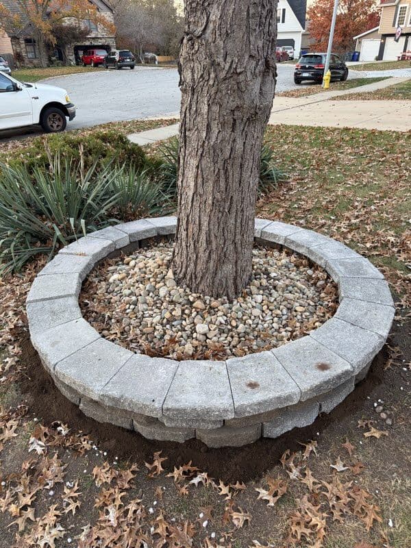 Stunning Tree Rings and Retaining Wall in Olathe Kansas image