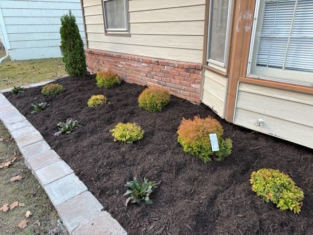 Gallery photos for Overland Park Landscape Makeover: Image #3