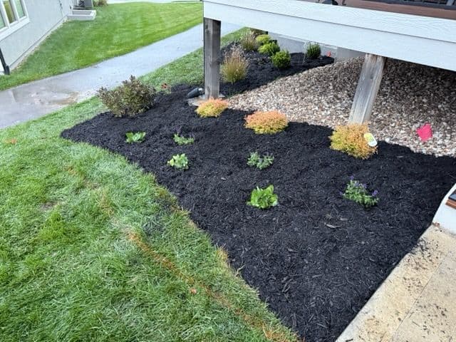 Garden Bed Transformation in Olathe Kansas image