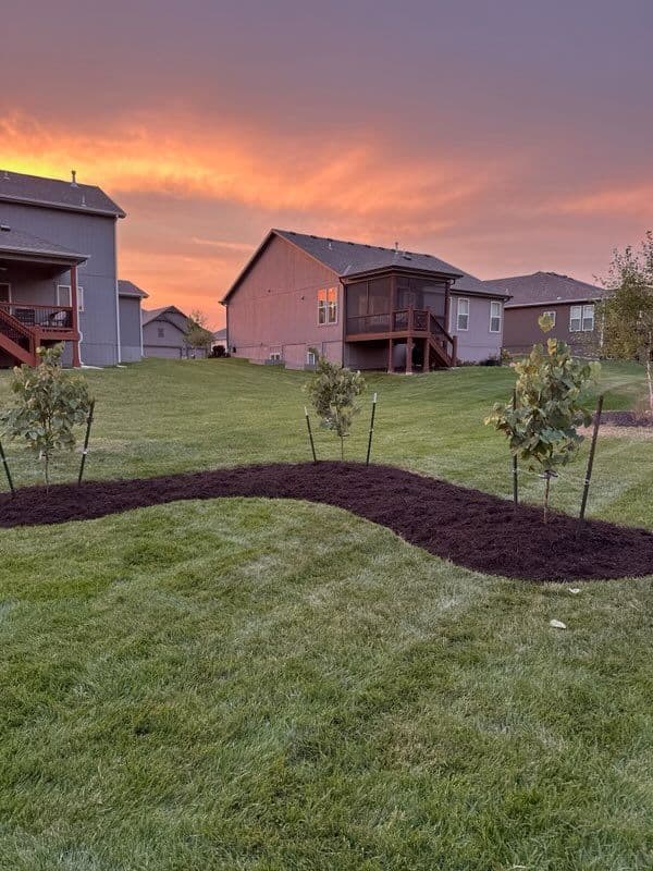 Vibrant Backyard Revamp in Parkville Missouri image
