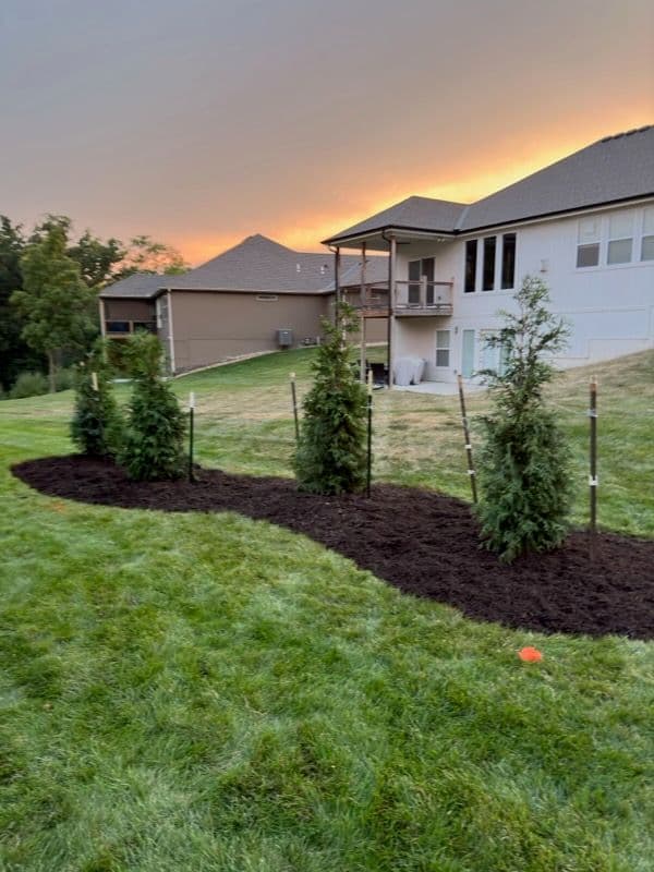 Gallery photos for Vibrant Backyard Revamp in Parkville Missouri: Image #1