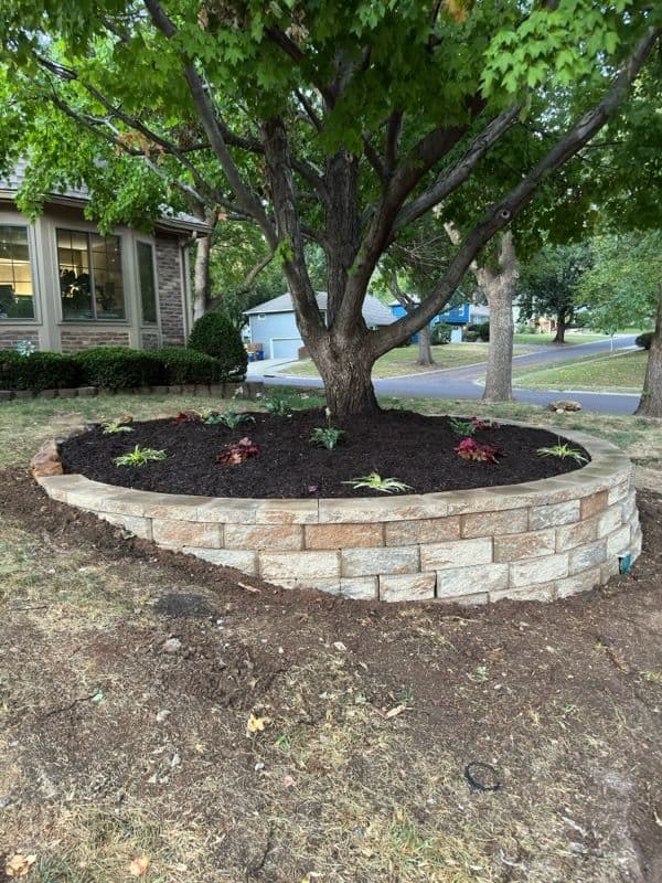 Stunning Raised Planter with Lush Greenery image