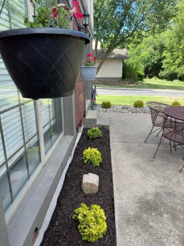 Gallery photos for Serene Backyard Oasis with New Patio and Plants: Image #3