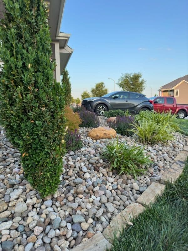 Gallery photos for North Kansas City Front Yard Oasis Transformation: Image #2