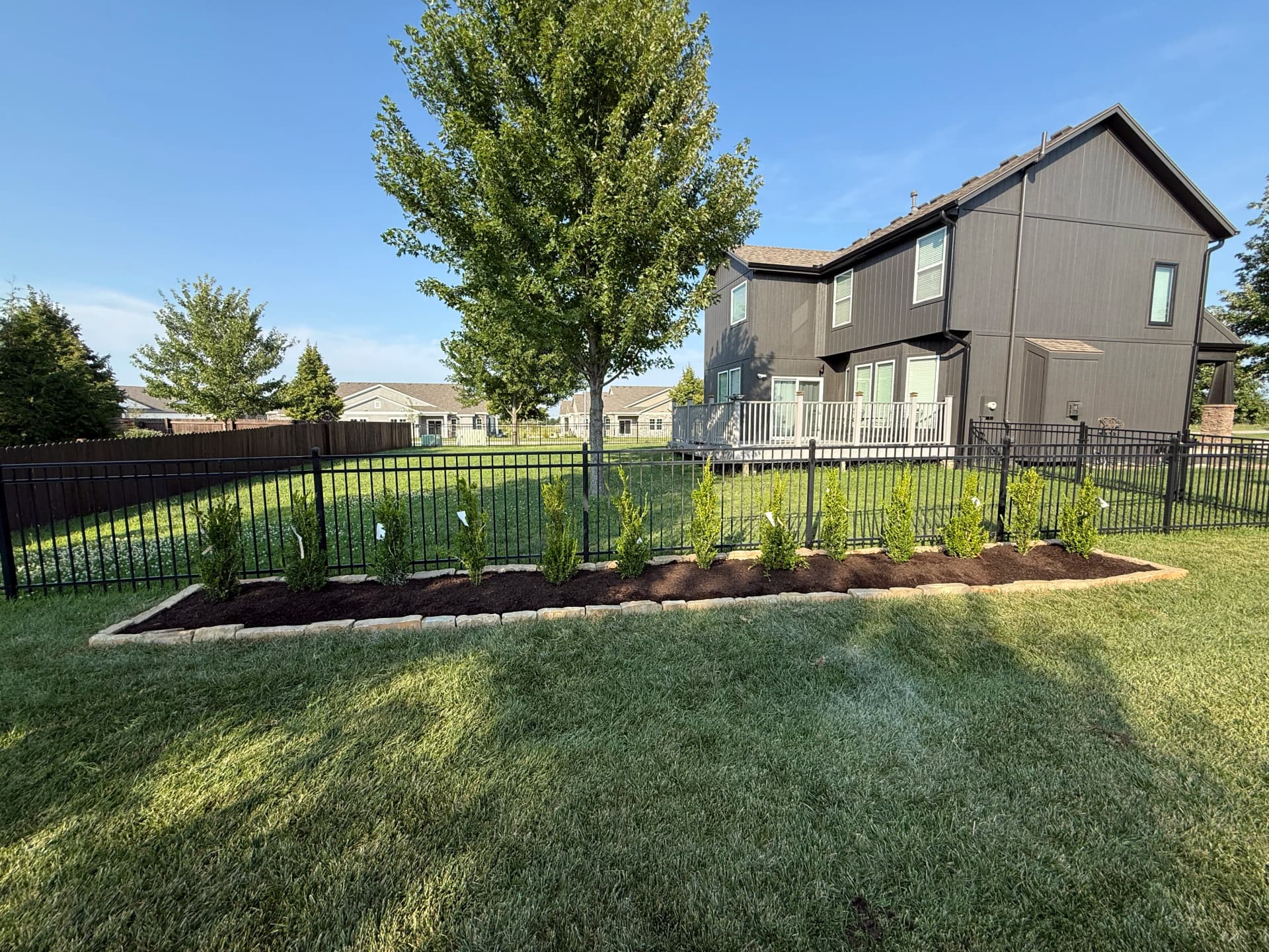 Gallery photos for Privacy Hedge Planting Done Right in Olathe: Image #1