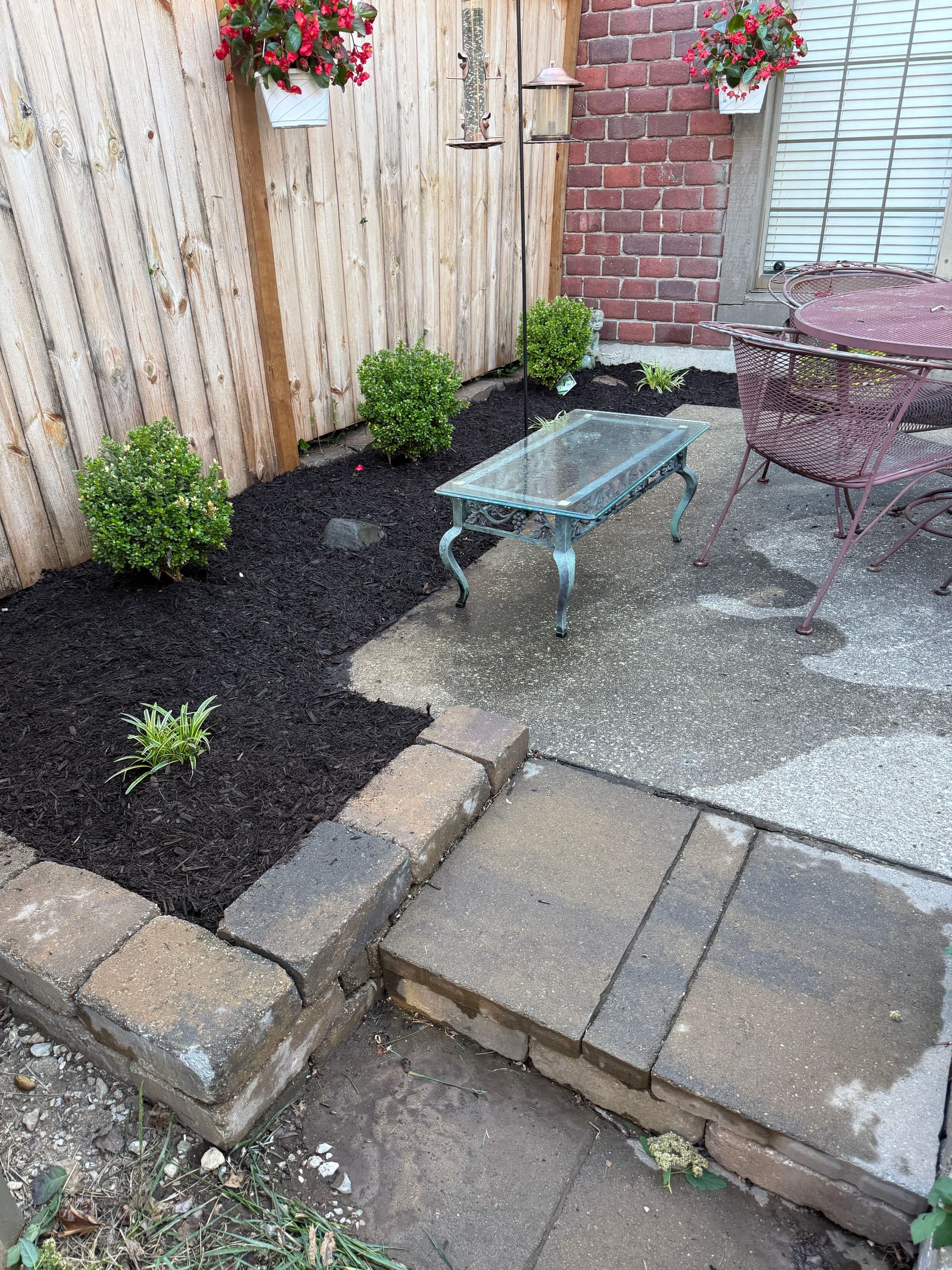 Fresh Mulch and a Careful Trim Brought This Patio Back to Life image