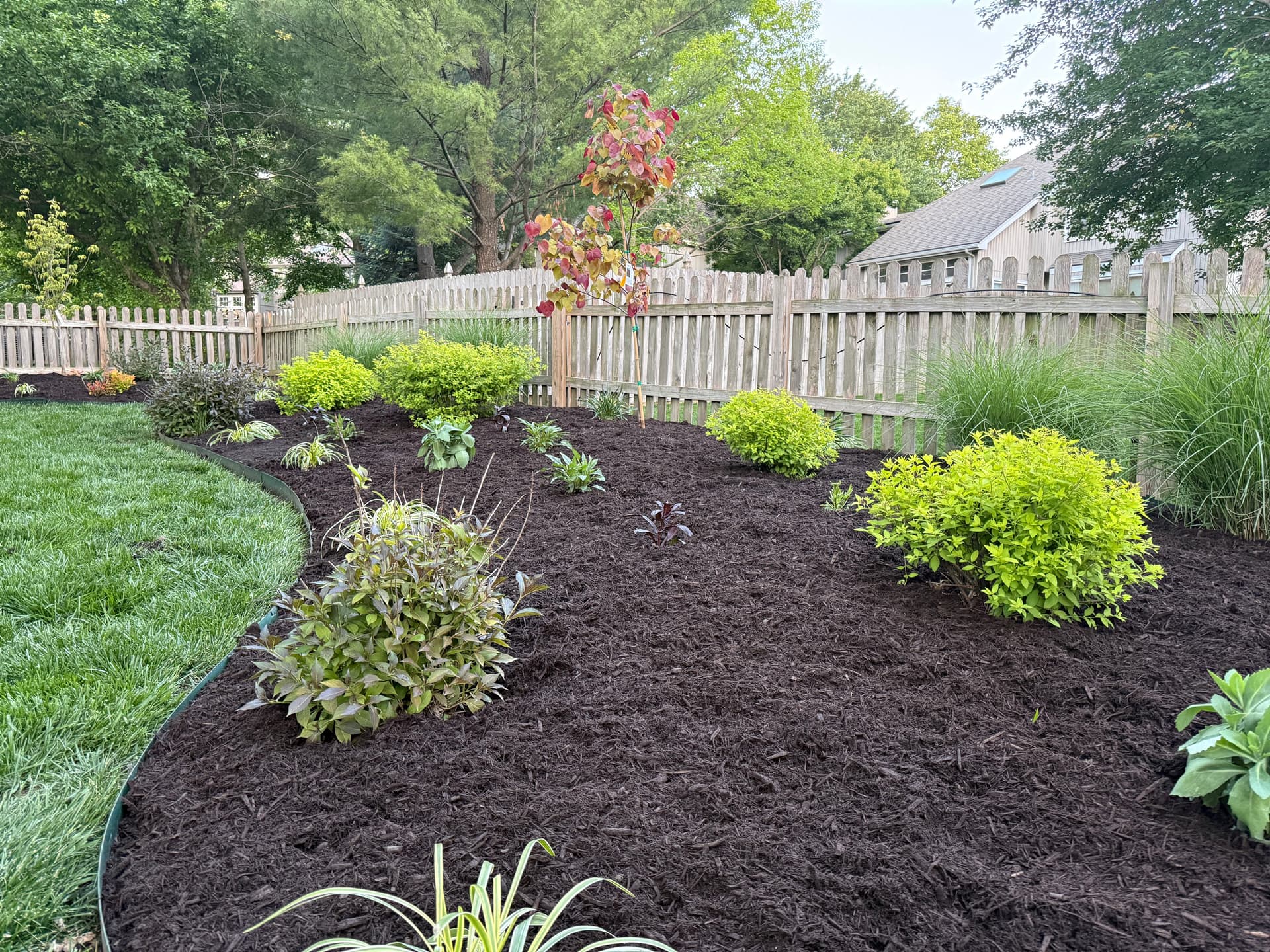 Gallery photos for Overland Park Backyard Garden Bed Gets a Fresh Start: Image #2