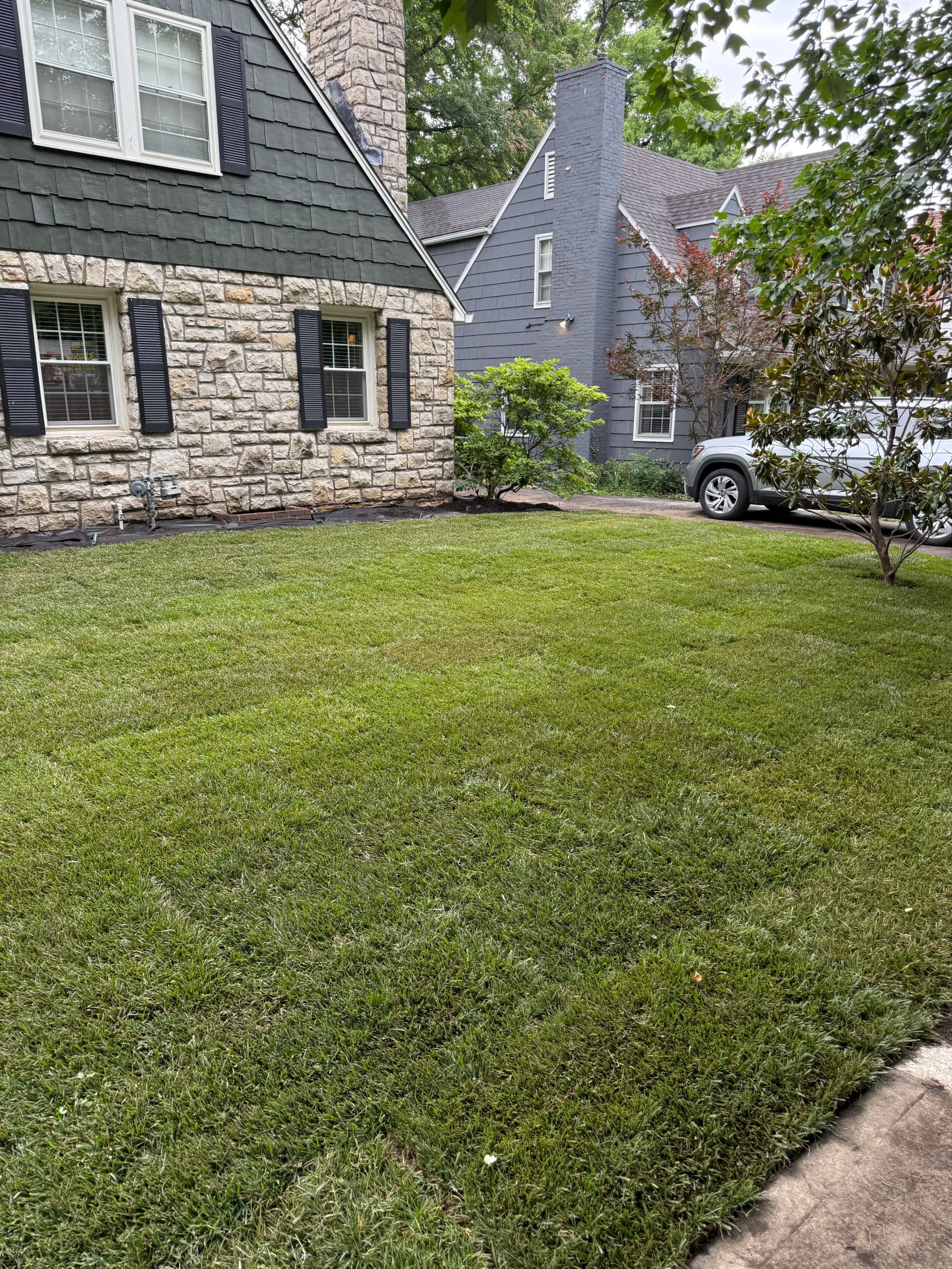 Gallery photos for Full Front and Backyard Sod Remodel in Brookside: Image #2