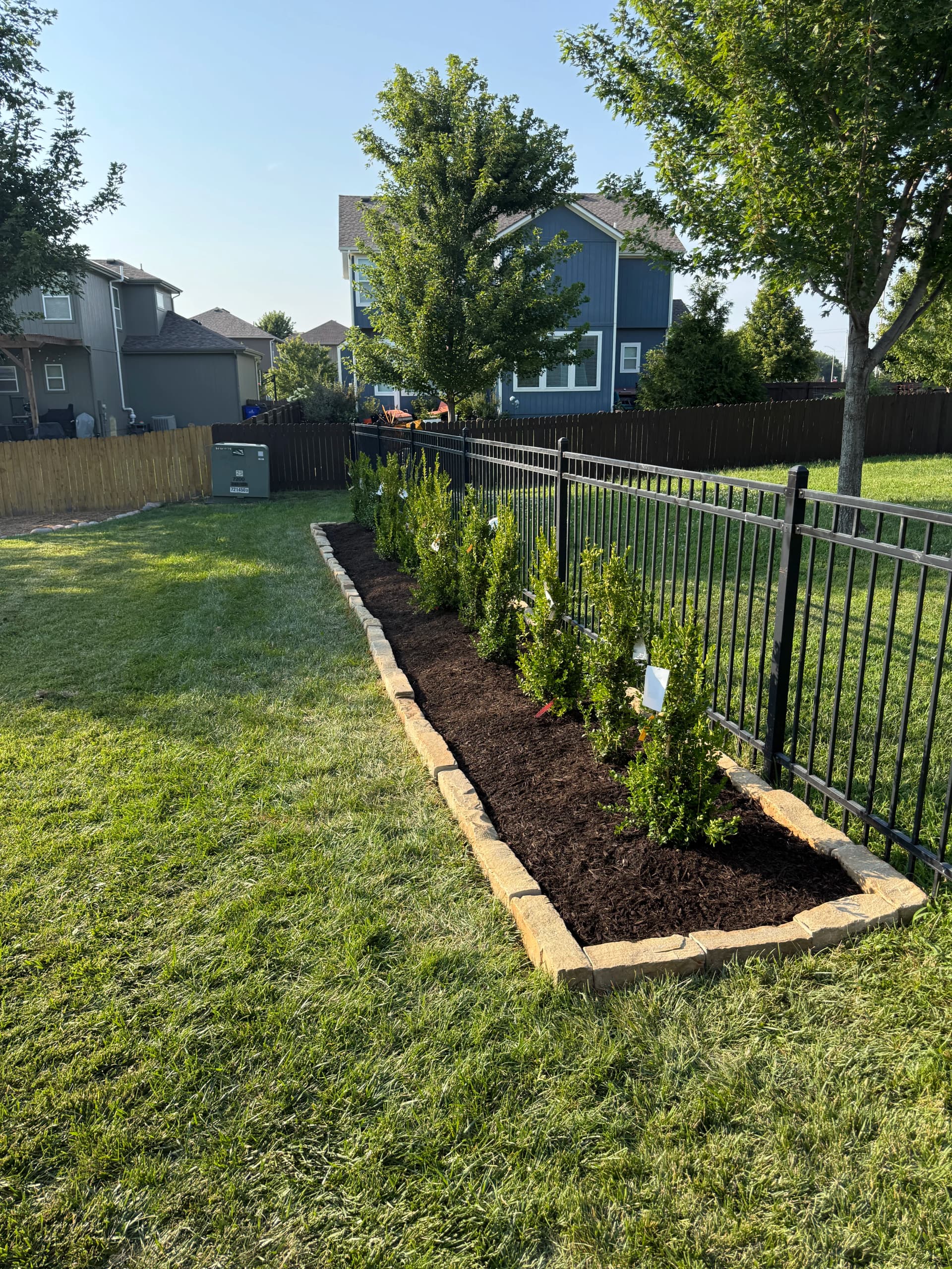 Gallery photos for Privacy Hedge Planting Done Right in Olathe: Image #3