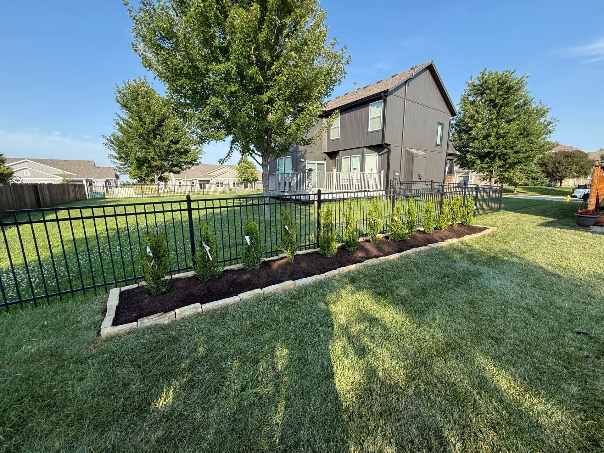 Privacy Hedge Planting Done Right in Olathe image