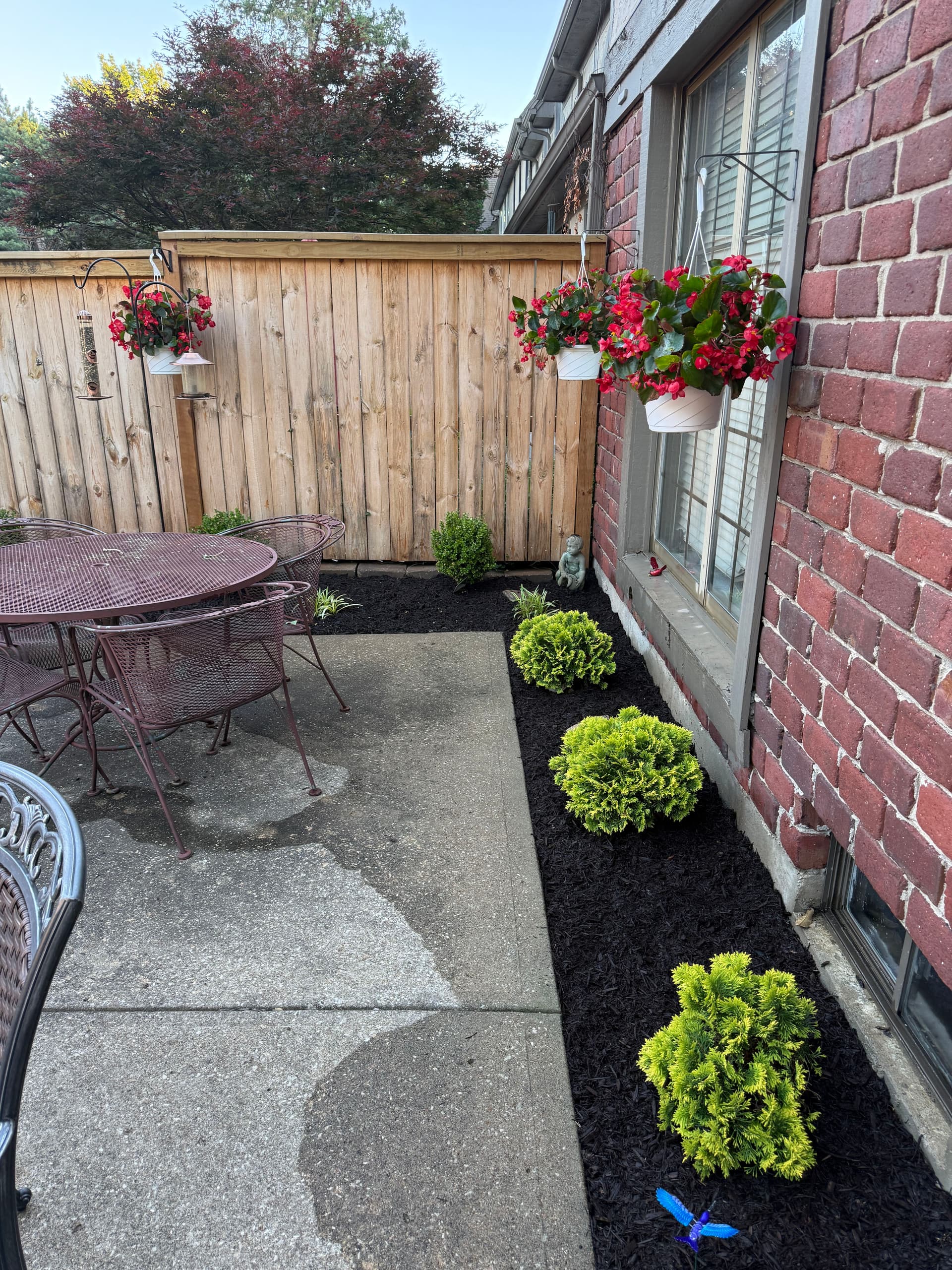 Gallery photos for Fresh Mulch and a Careful Trim Brought This Patio Back to Life: Image #2